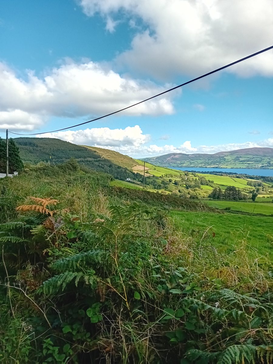 Slieve Bearnagh 20230902 (1)